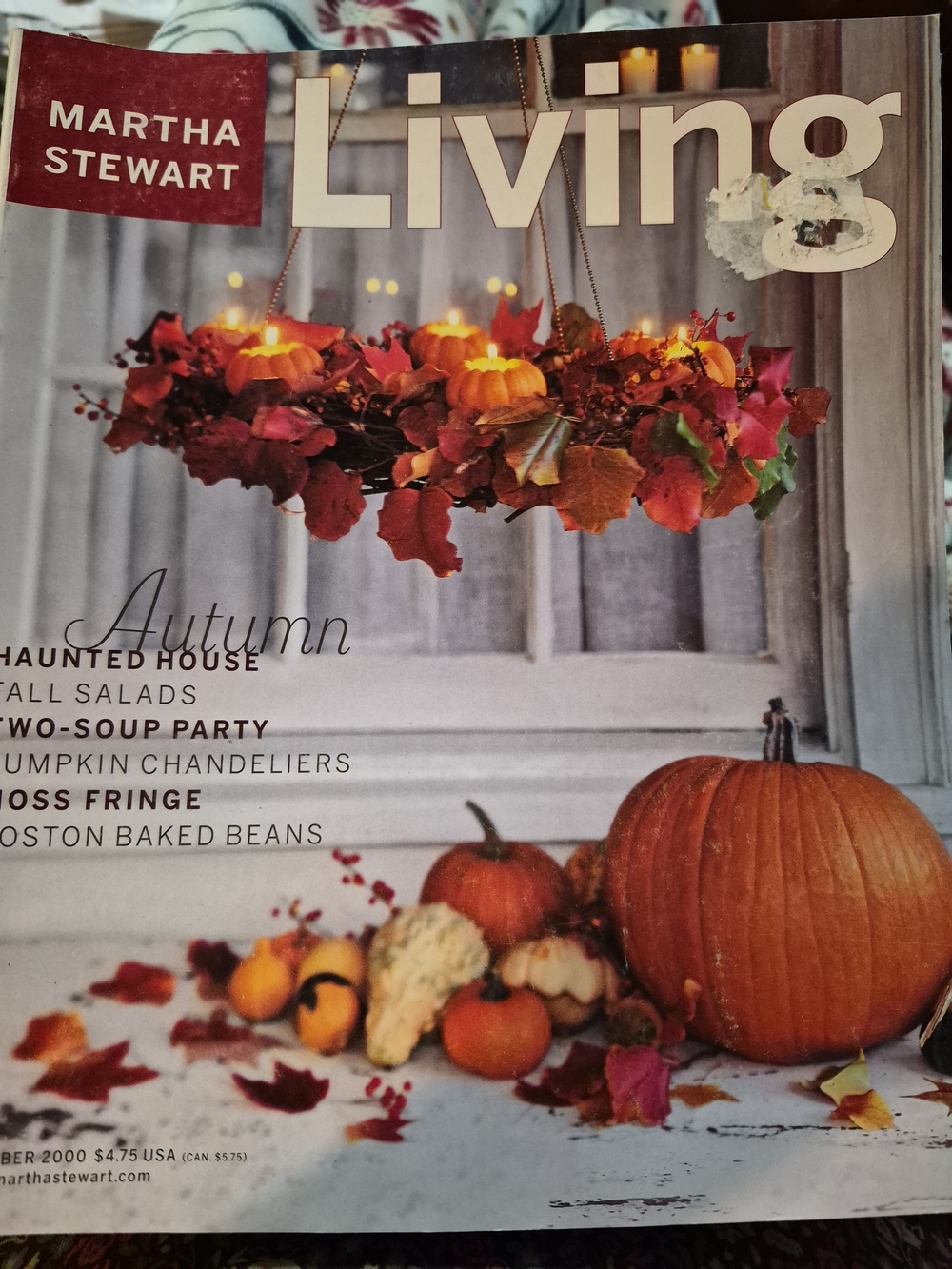 Martha Stewart Living Fall Pumpkin & Leaf Chandelier - Orange, Red, Green